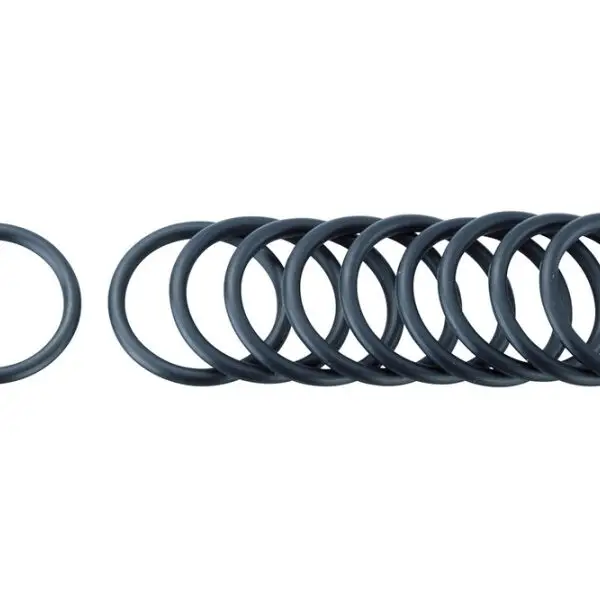 Topeak Race Rocket Barrel Piston Rebuild Kit