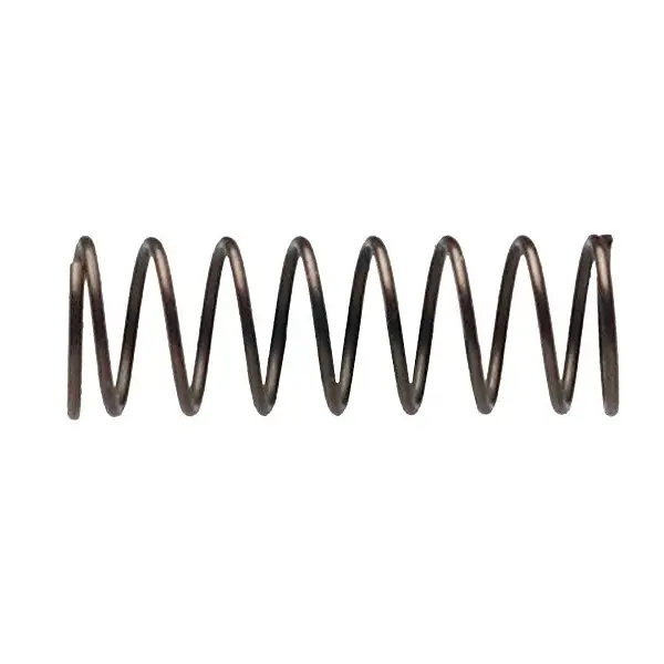 Campagnolo FH-RE014 Old Coil Type Freehub Pawl Spring