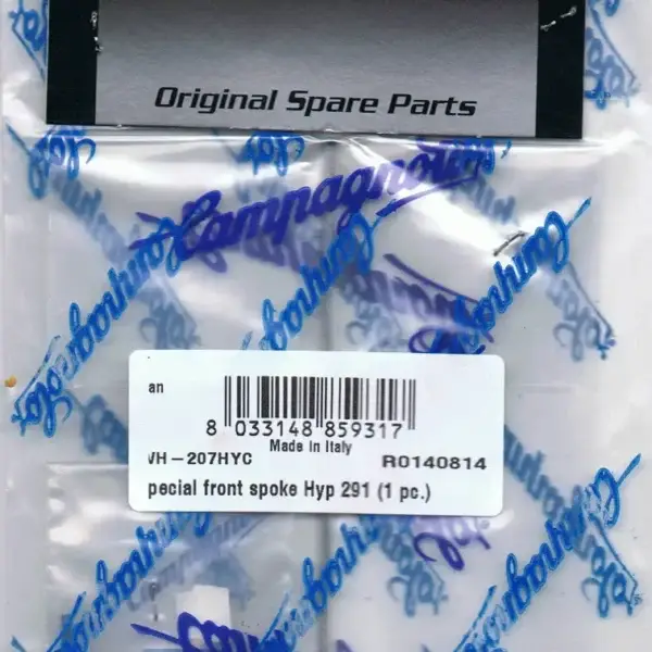 Hyperon 2010 Special Front Silver Spoke WH-207HYC